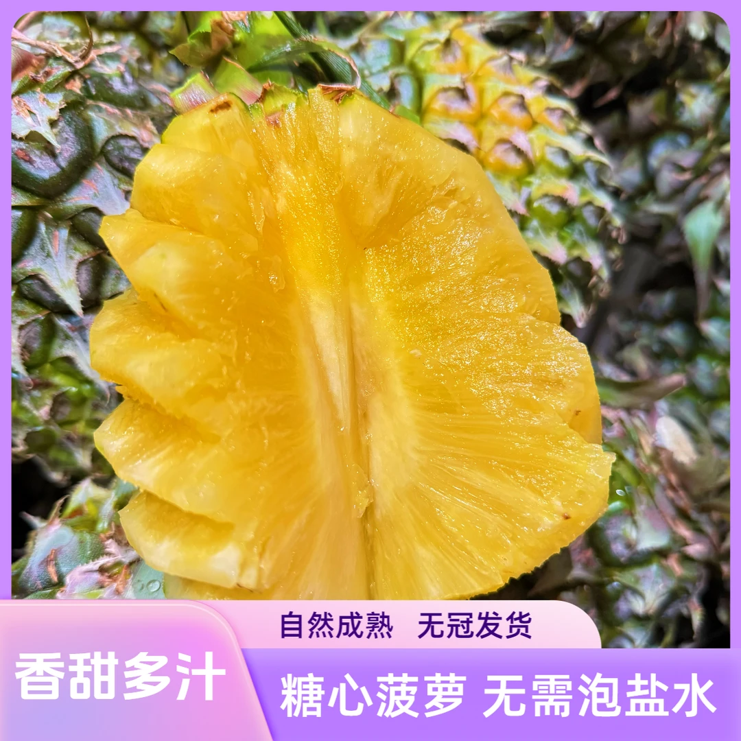 【自然成熟光头】马来西亚糖心菠萝自然熟当季现摘现发爽脆酸甜凤梨
