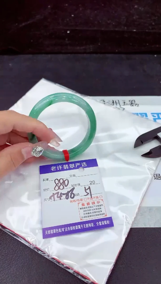 未镶嵌手镯翡翠1