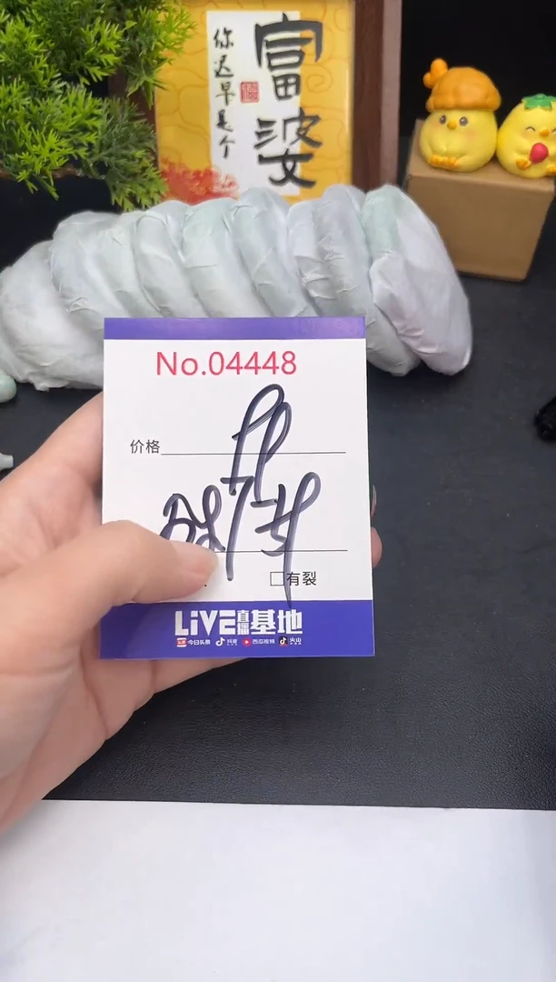 未镶嵌手镯翡翠4448