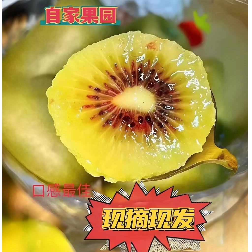 四川红心猕猴桃当季新鲜奇异果香甜可口产地直发