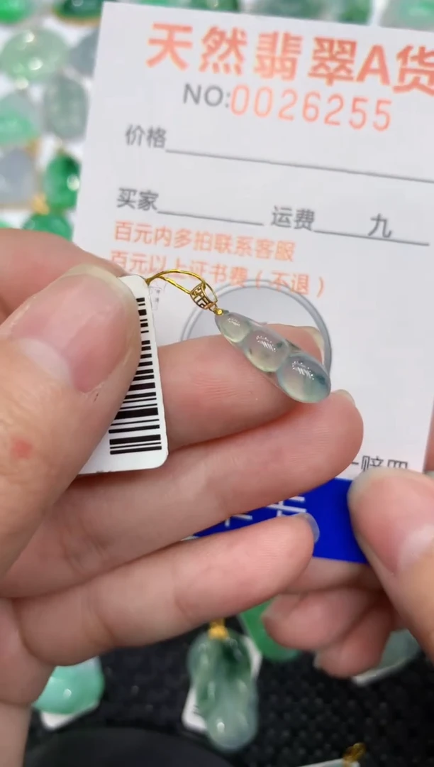 【闪购商品】翡翠颈饰18K金镶嵌1111111111