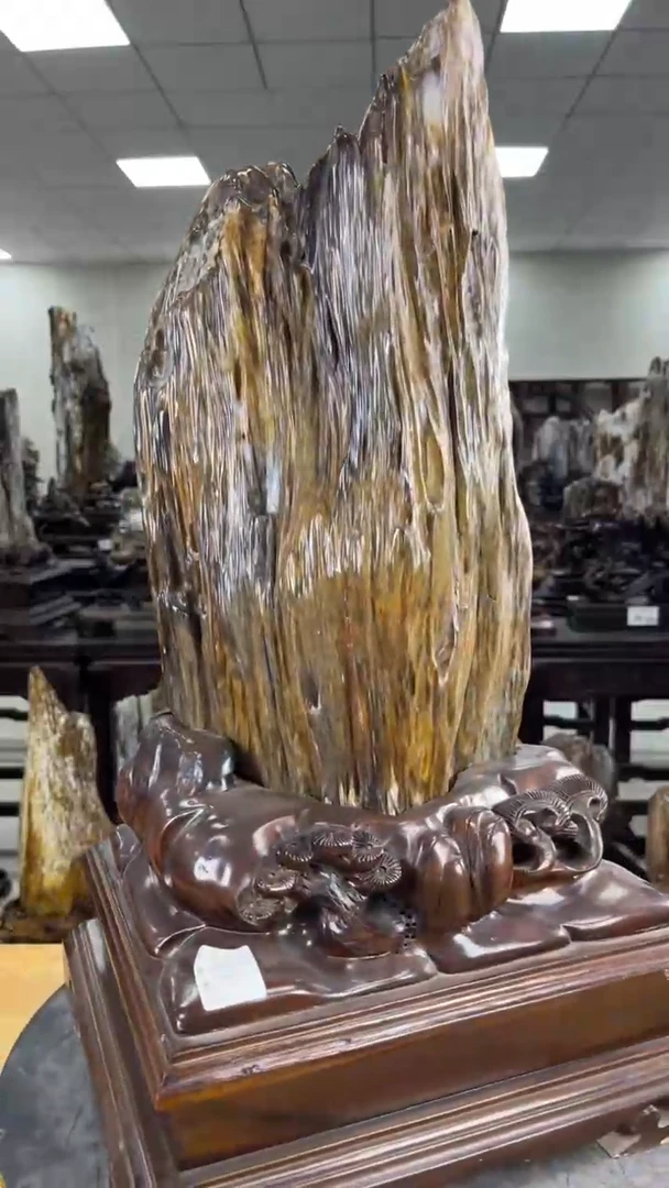 【闪购商品】硅化玉珠宝奇石未镶嵌1