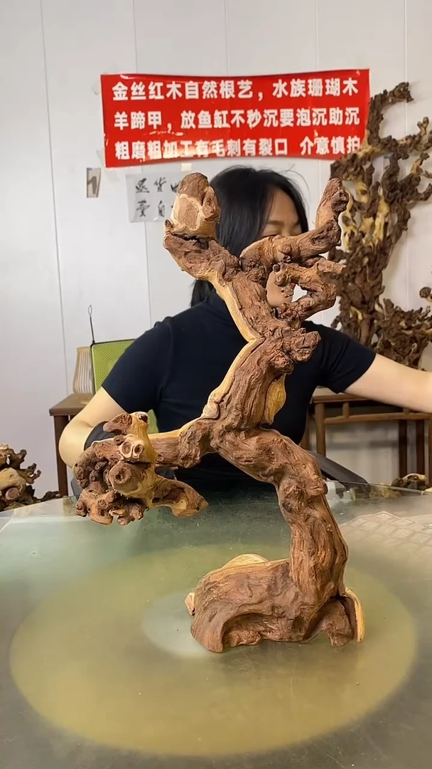 木金**业金丝红木 羊蹄甲