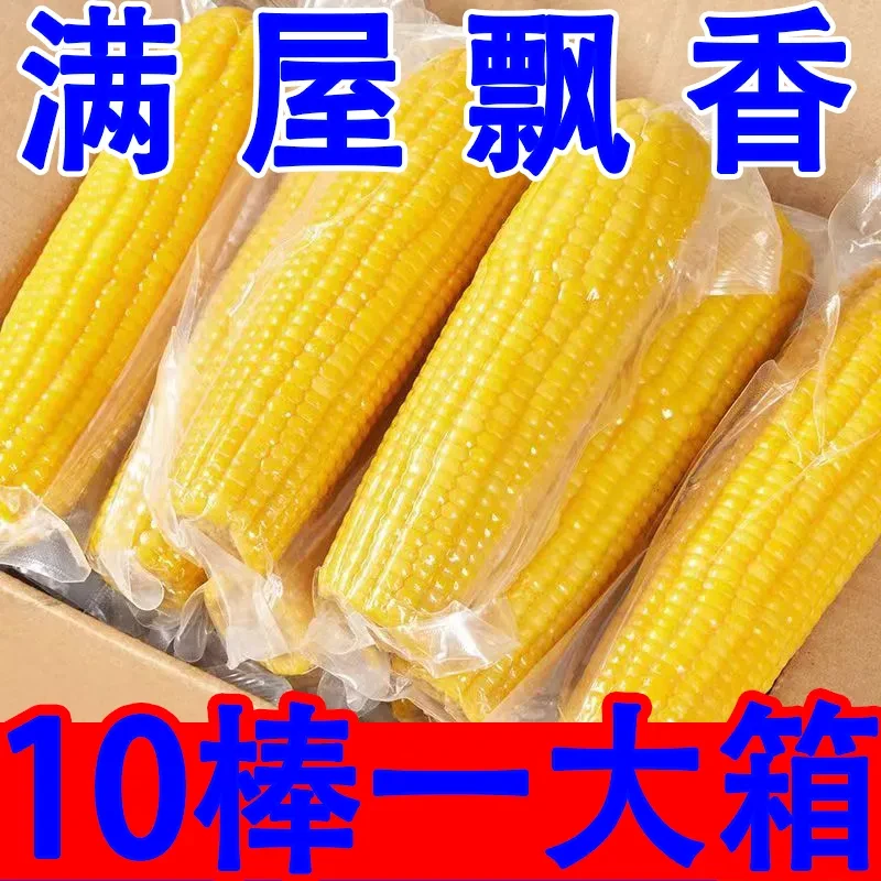 【玉米】新鲜软糯玉米10根（220g-300g*根） ddTG