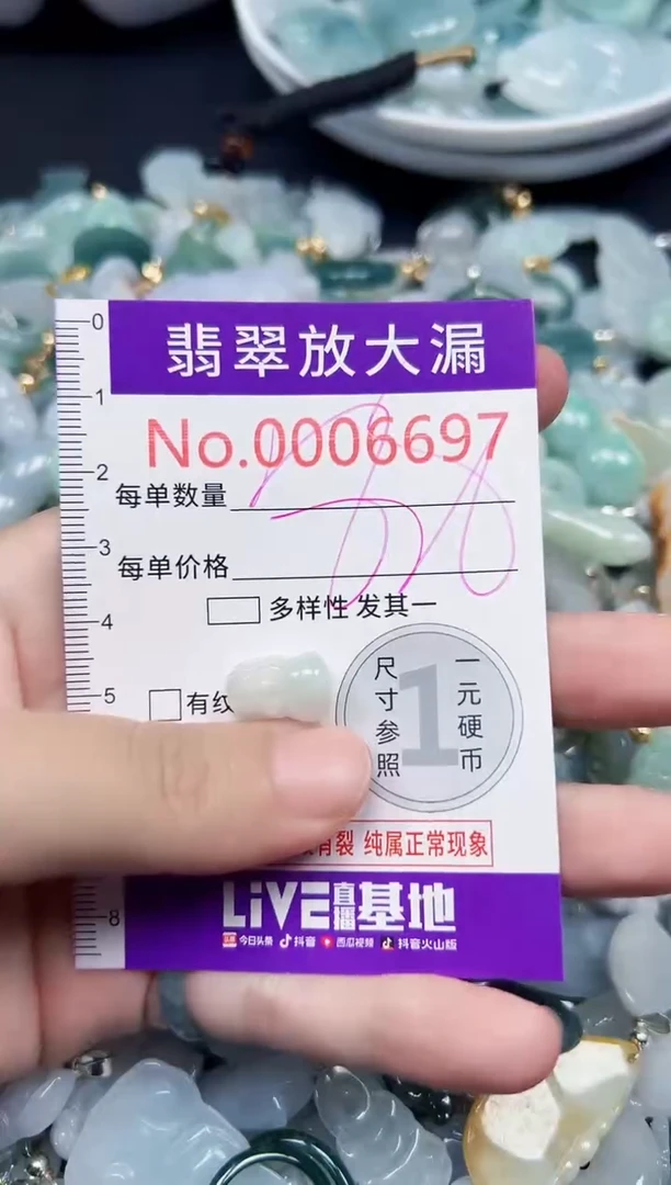 颈饰未镶嵌翡翠6697