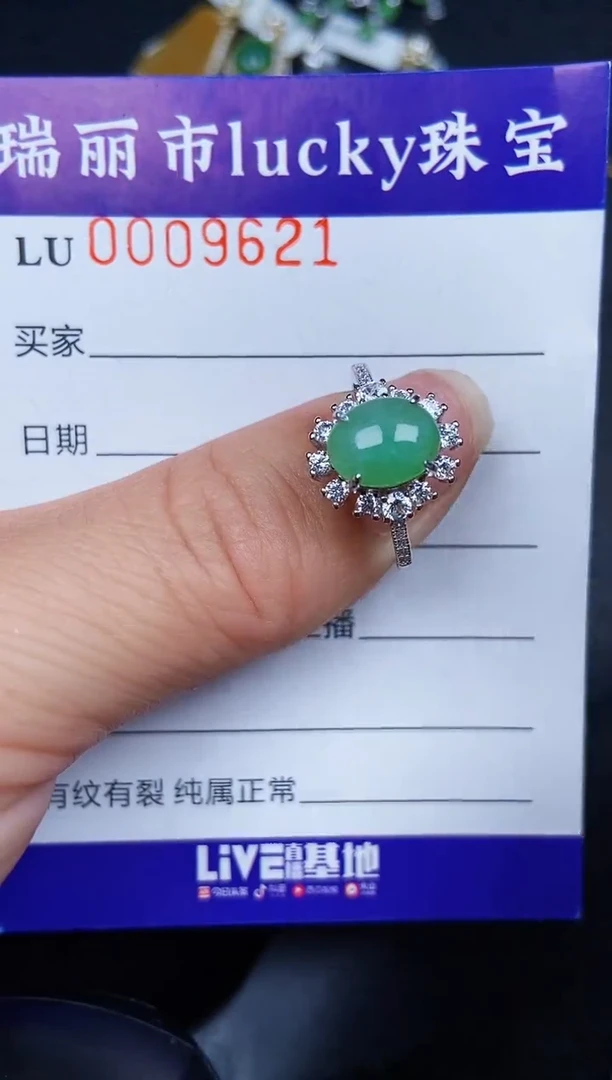 翡翠银S925镶嵌颈饰9621