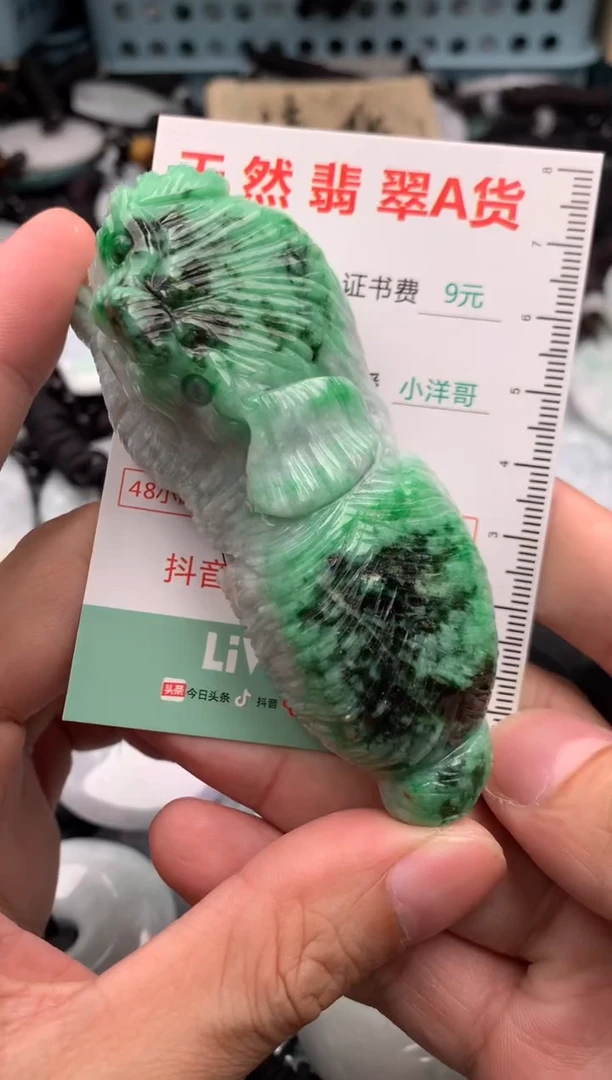 翡翠未镶嵌吊坠(不含链)1