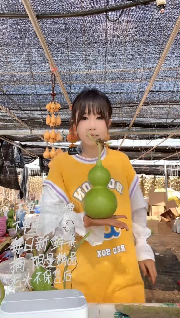 548天然葫芦摆件 一物一拍龙头不保售后