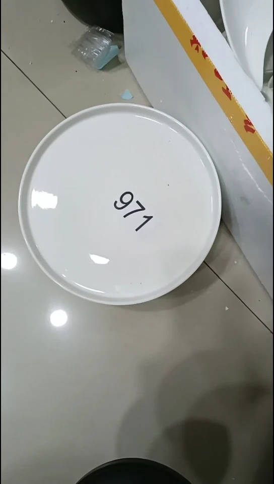 【闪购商品】瓷8寸 6个装牛排盘971