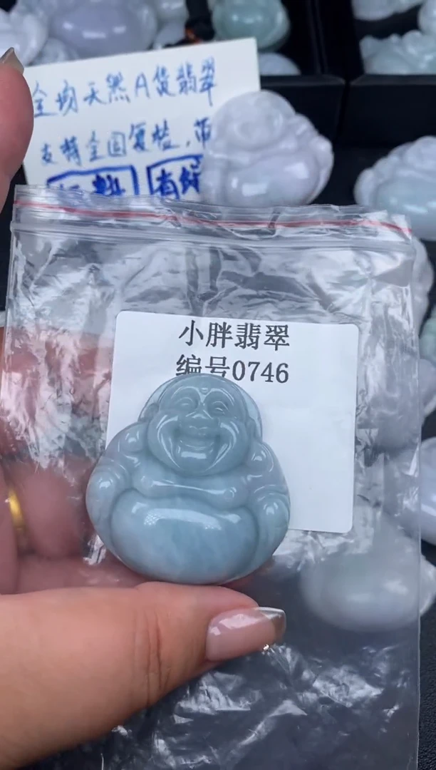翡翠未镶嵌颈饰缅甸天然A货翡翠0746