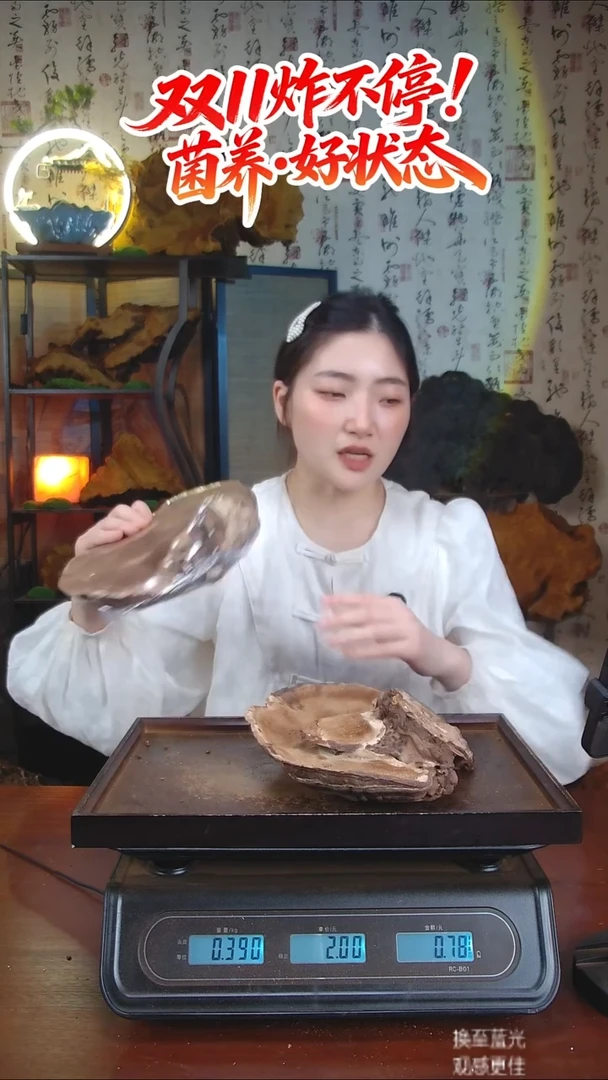 平盖灵芝中国大陆【藏区 野生】树舌灵芝（1.5斤）10年份