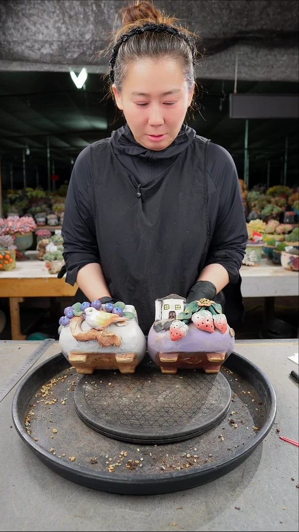 涵***?46号   盆2个