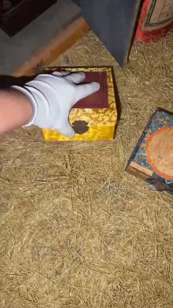 香榧木黄盒打开*********