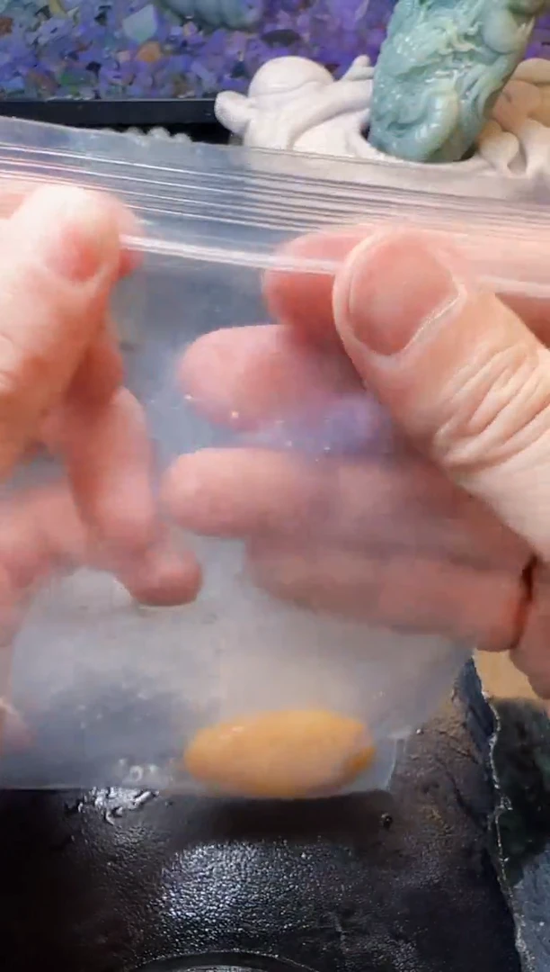 翡翠未镶嵌颈饰真****)天然缅甸A货翡翠026