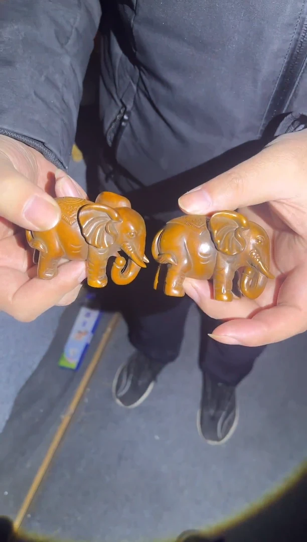 黄杨木011111111111