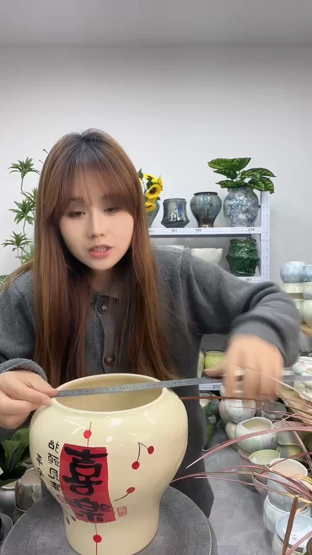 11.22陶瓷花盆直播链接高. 20     口16