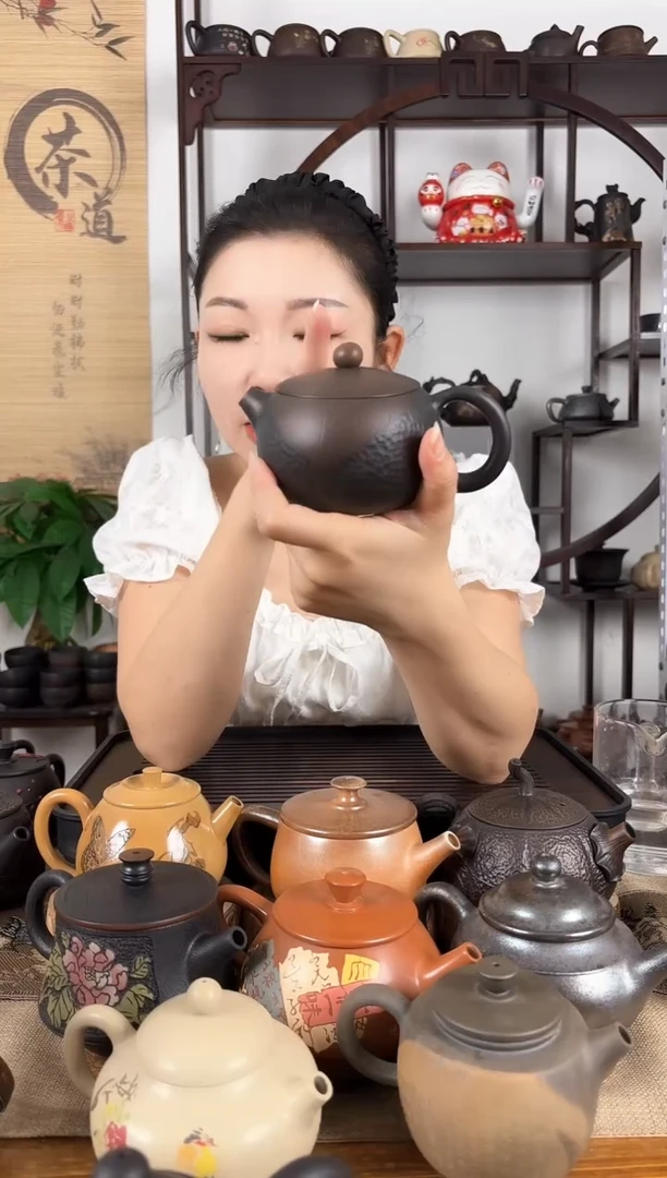 壶球孔 西施壶 建水紫陶