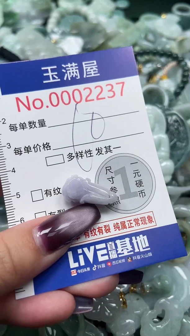 颈饰未镶嵌翡翠2237