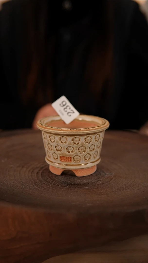 【闪购商品】红陶2-13-236默认有瑕口