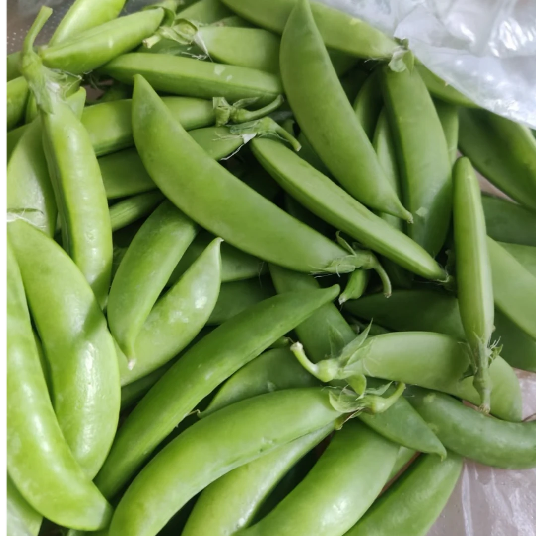 新鲜现摘云南带壳农家甜豆豌豆