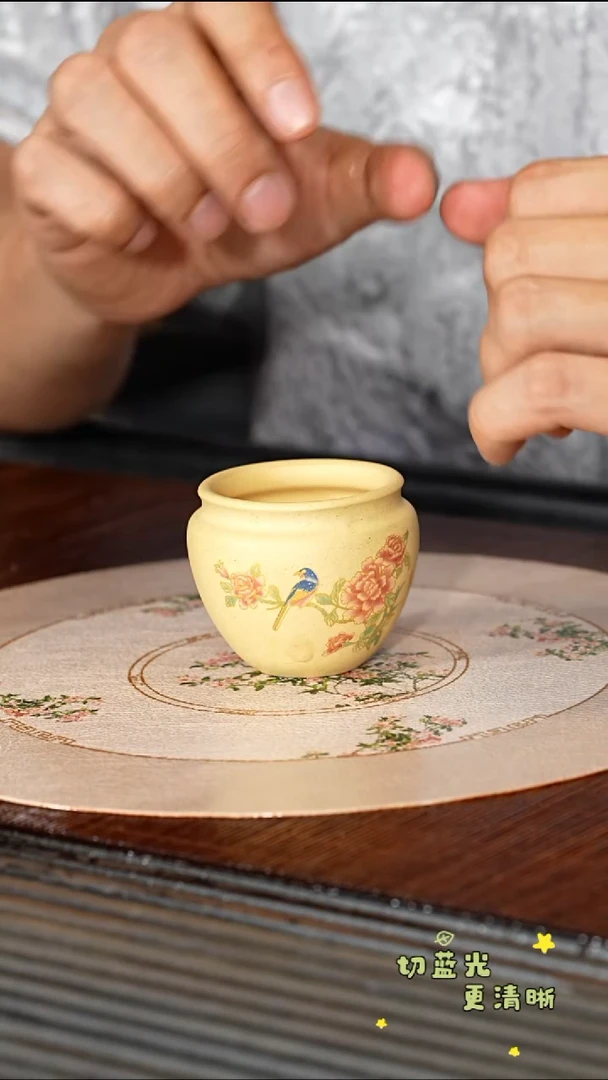 茶壶紫砂顽壶紫砂精选主人杯