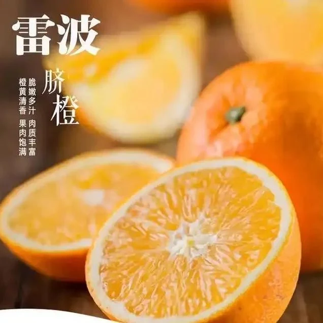 凉山雷波脐橙产地直发当季水果多汁皮薄果香浓