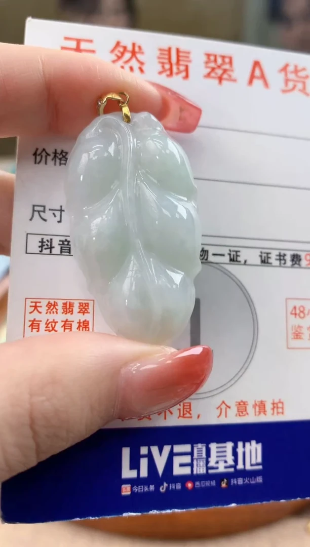 颈饰未镶嵌翡翠天然A货翡翠挂件