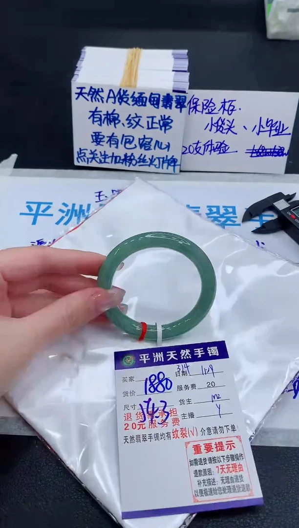 未镶嵌手镯翡翠1111111