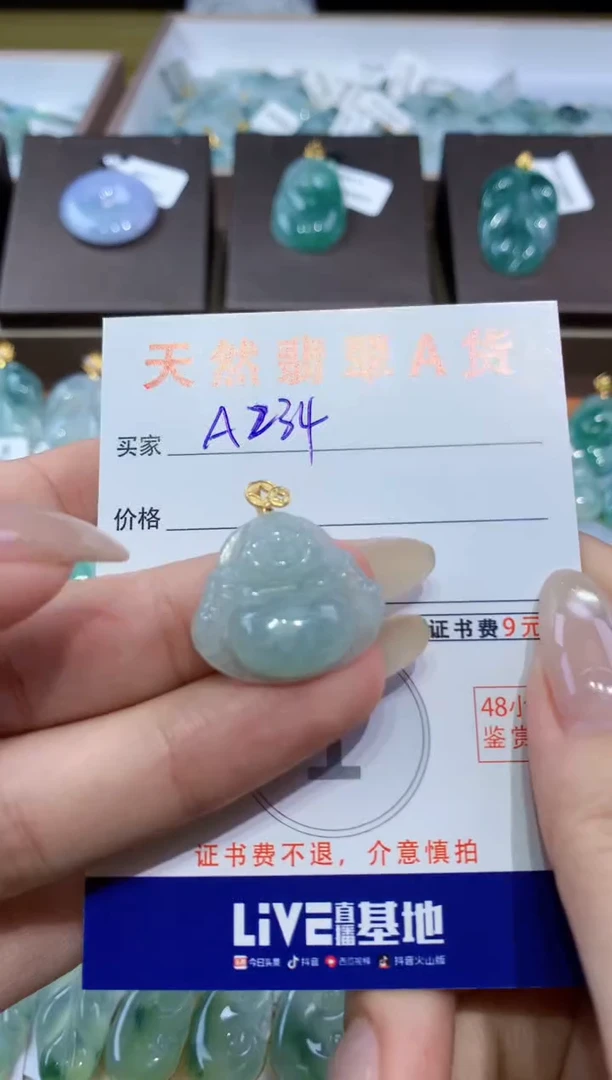 颈饰未镶嵌翡翠 天然翡翠A货挂件