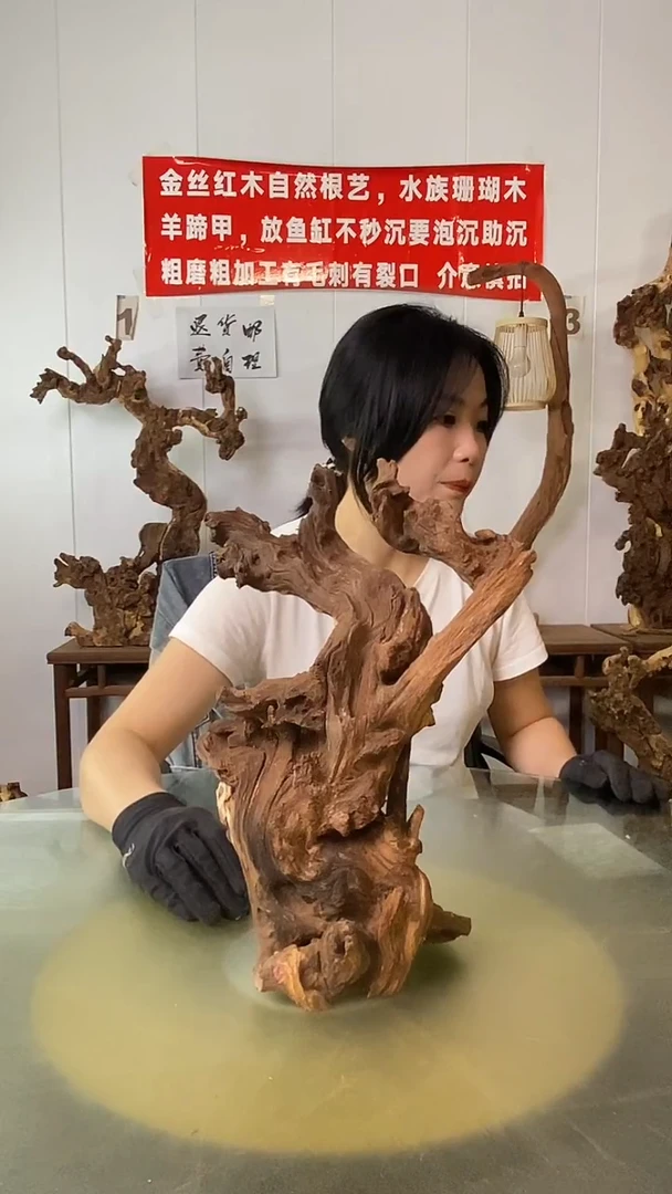 香榧木小*金丝红木 羊蹄甲