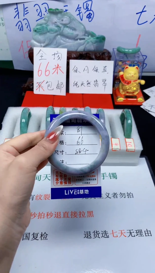 未镶嵌手镯翡翠81