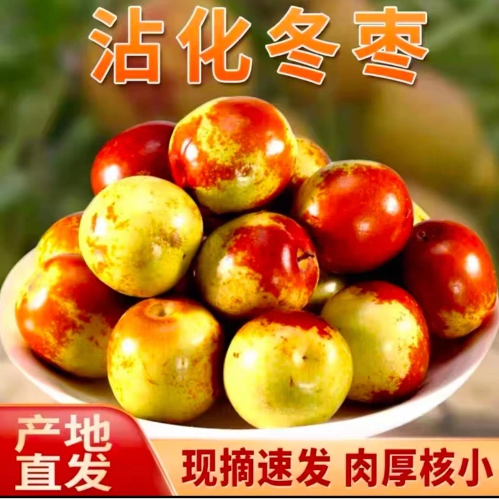 正宗沾化冬枣脆甜新应季水果现摘脆甜鲜枣脆枣A