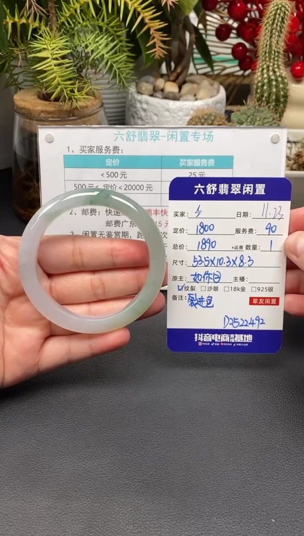 未镶嵌手镯翡翠**D2522492