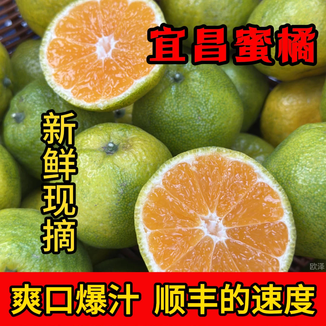 现摘青皮蜜桔新鲜橘子无籽宜昌孕妇水果酸甜蜜橘薄皮早熟正宗桔子