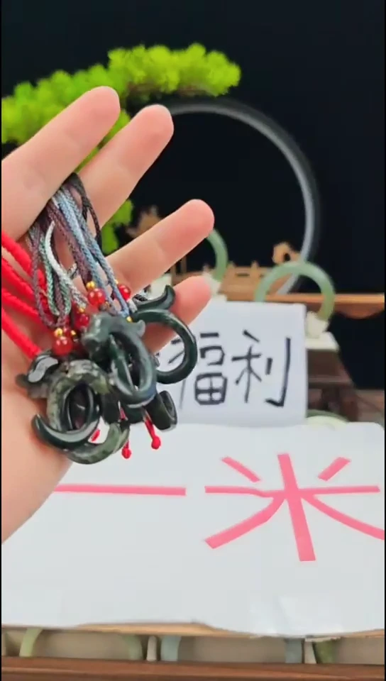 岫玉未镶嵌吊坠(赠链)岫玉玉龙