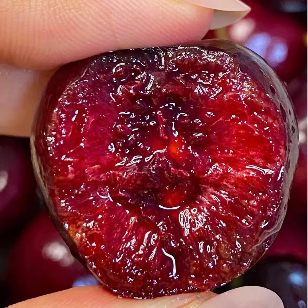 【智利海运车厘子】2JD 5斤装（内含果径卡）