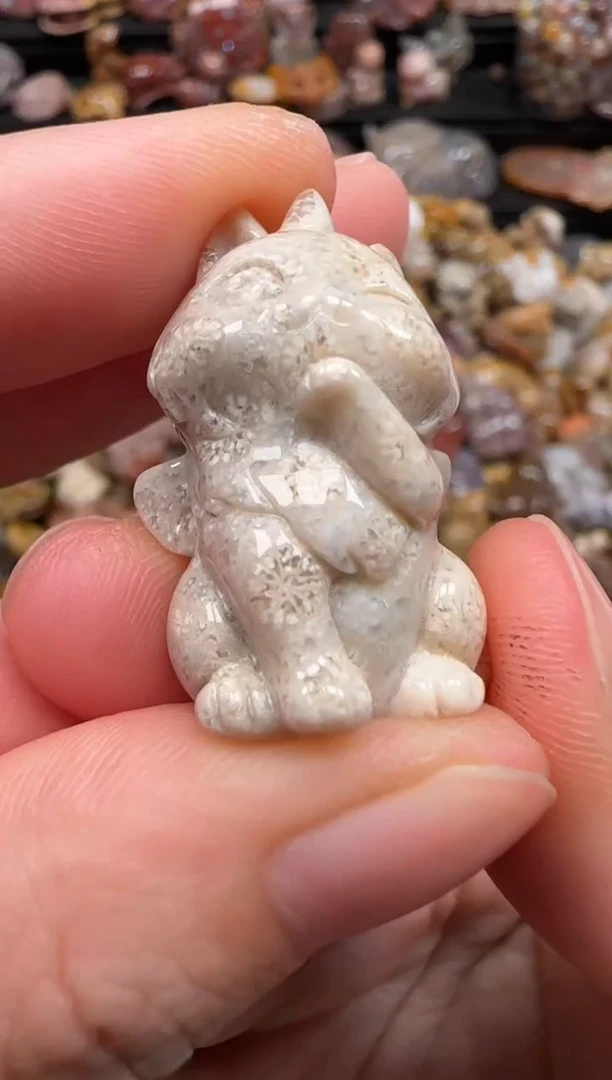 硅化珊瑚（珊瑚玉）未镶嵌颈饰786