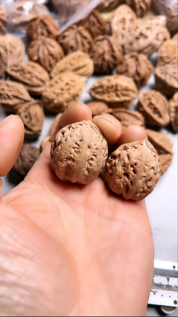 核桃东北野生大秋子1