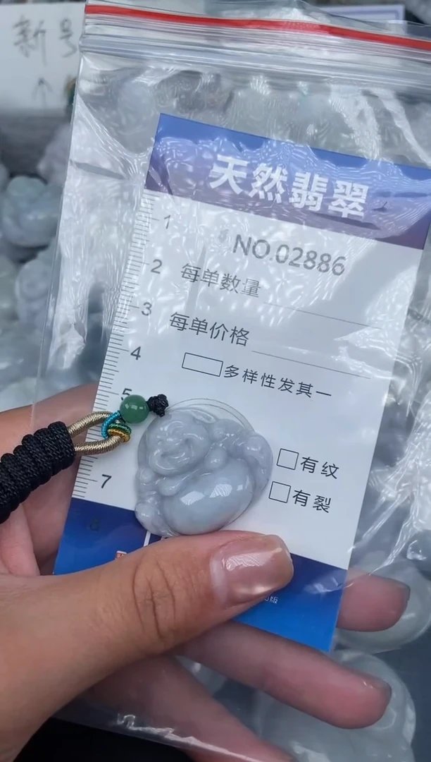颈饰未镶嵌翡翠纯天然A货翡翠2886