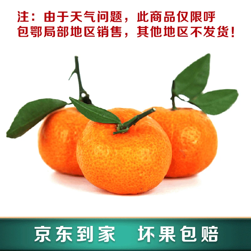 正宗广西特级砂糖橘 净重4斤