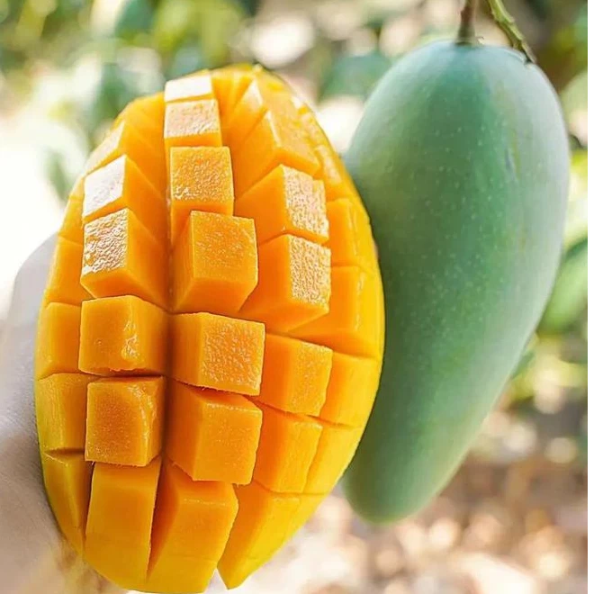 正宗海南金煌芒 新鲜现摘产地直发 4.5/8斤热带当季水果