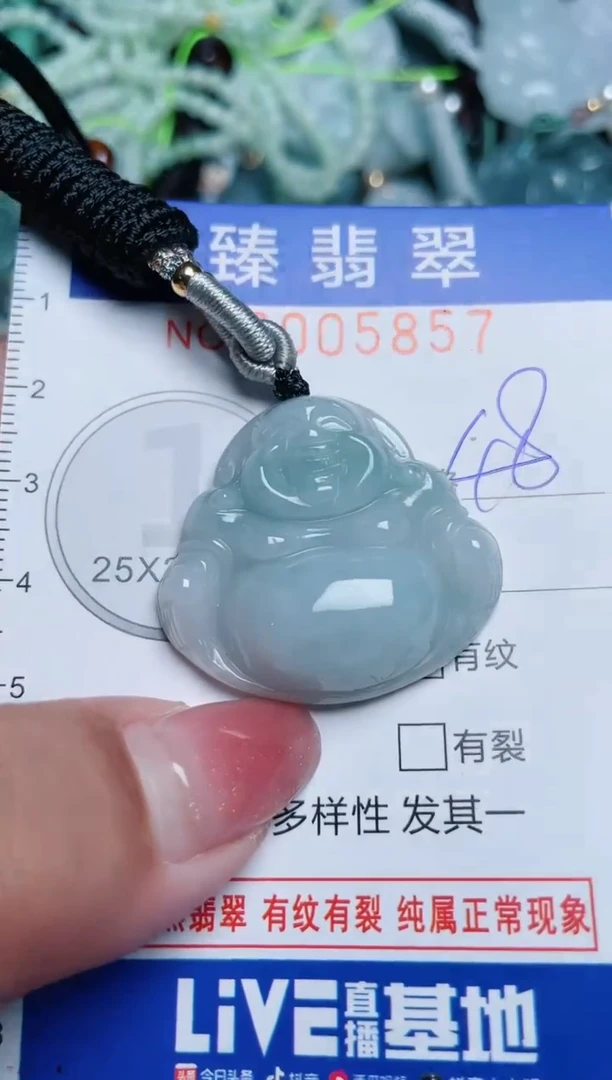 【闪购商品】翡翠颈饰未镶嵌.0005857