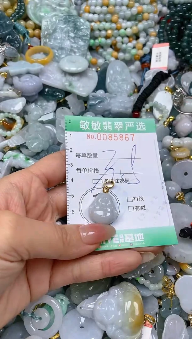 【闪购商品】翡翠颈饰未镶嵌闪购0085867多样性发其一