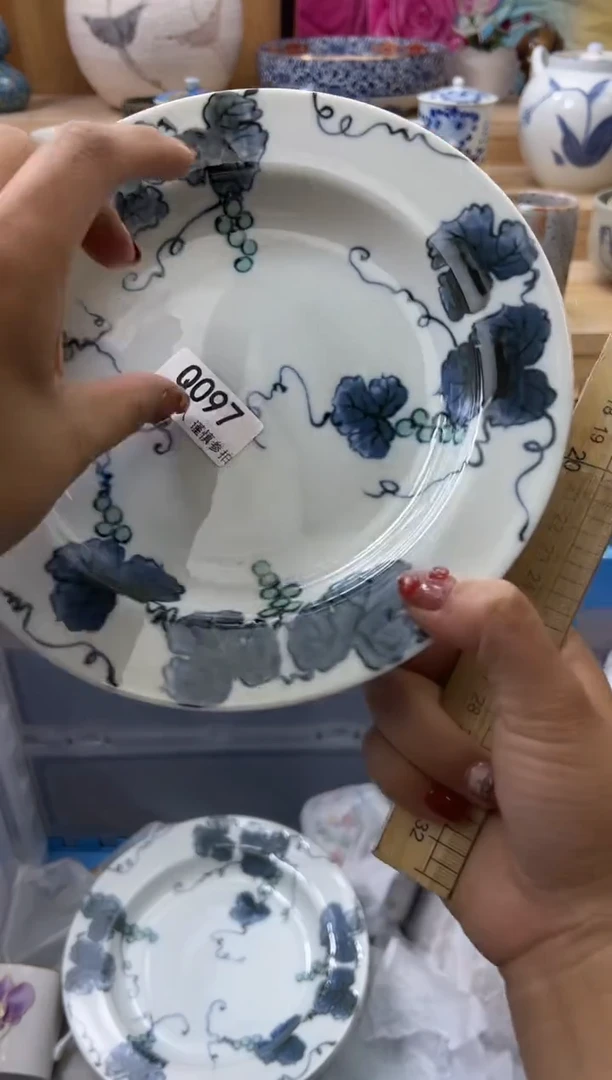 【闪购商品】瓷片097qqqqqqqqqqqq