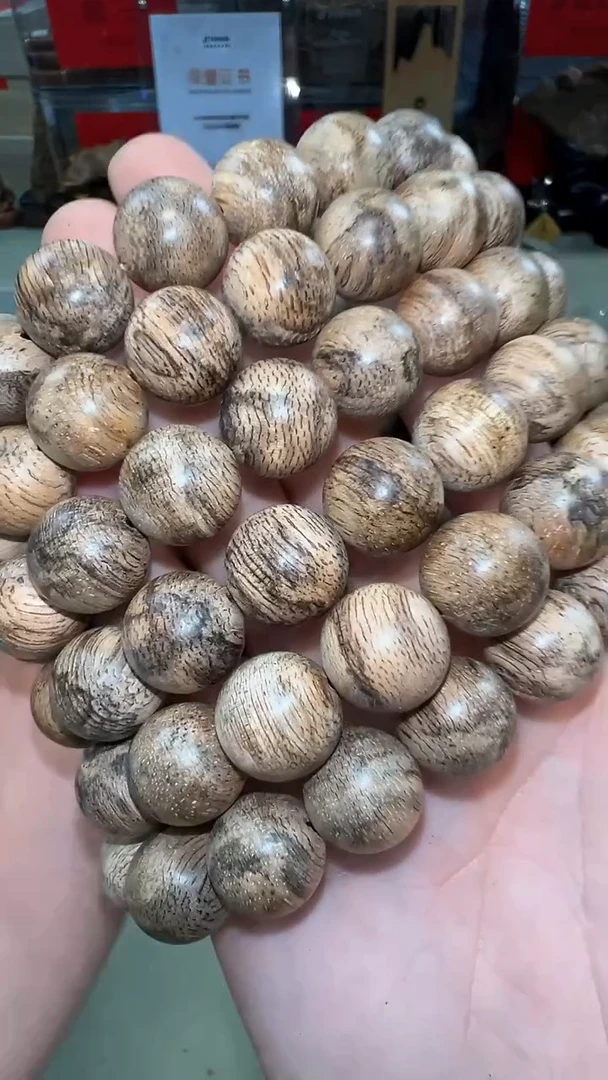 虎斑伽罗香皇13mm单圈多样性发其一