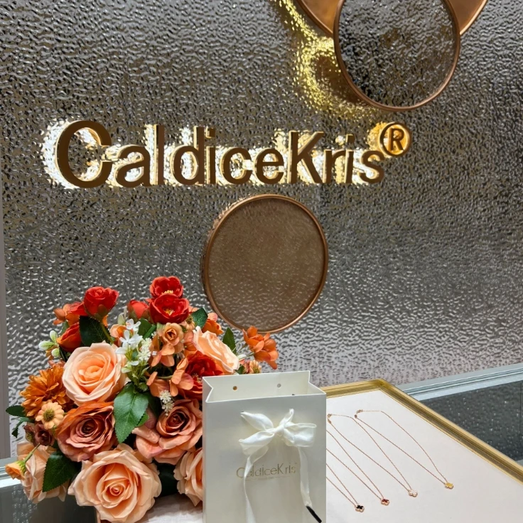 【Caldicekris】六色时尚轻奢百搭项链