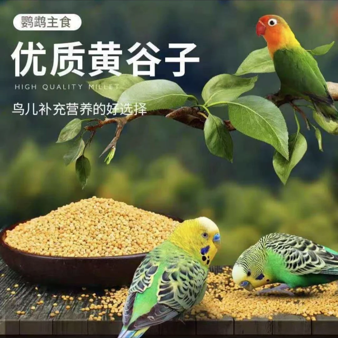 带壳新黄谷子中小型鹦鹉混合粮鸟食饲料虎皮玄凤牡丹