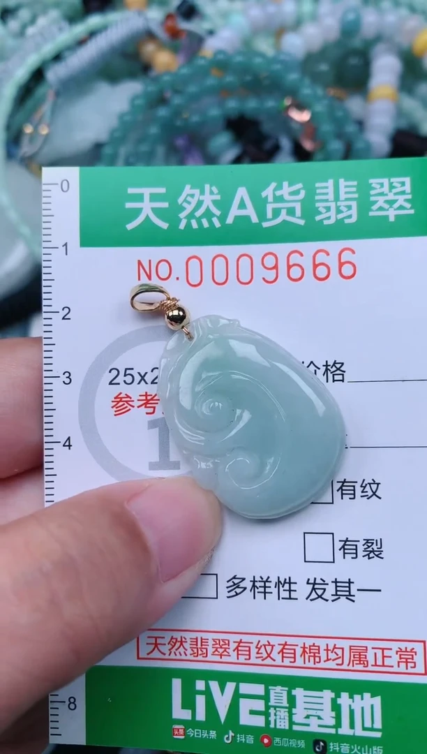翡翠未镶嵌颈饰.0009666