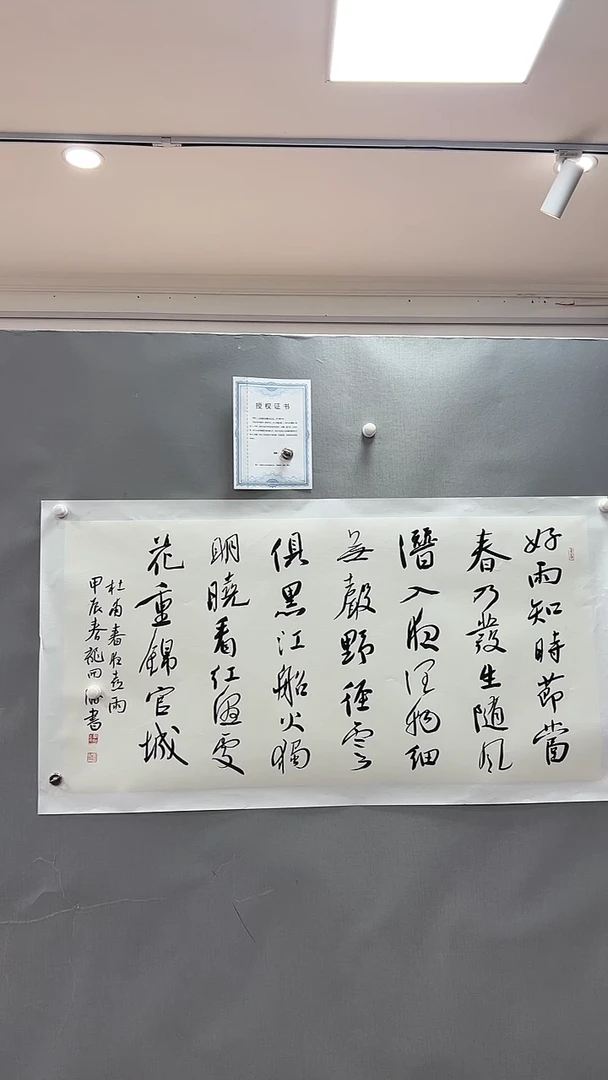 【闪购商品】书法雅艺典藏文化书法