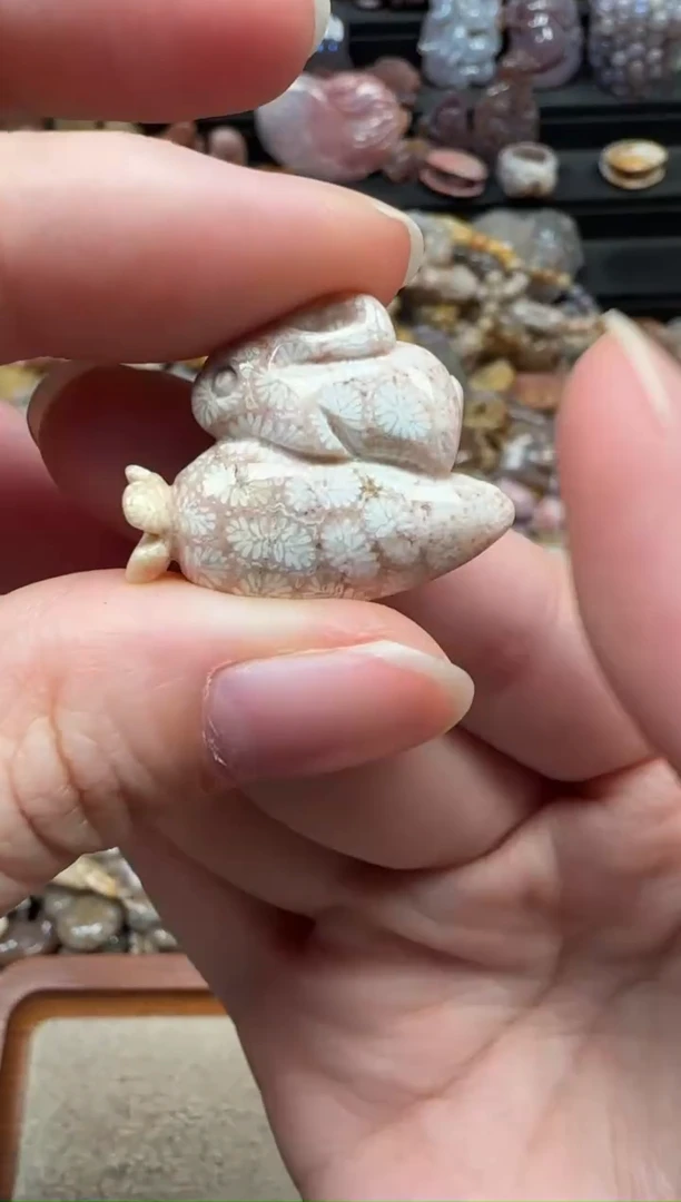 颈饰未镶嵌硅化珊瑚（珊瑚玉）439